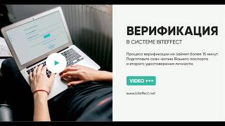 Верификация в системе BitEffect