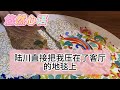 （完整版）一副炙熱身軀靠了過來，將她壓在門板上，他吻的兇猛而熱切，大佬的白月光回國後，嬌豔欲滴的女主角把大佬甩了