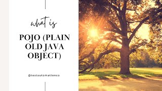 What are POJOs Why When Plain Old Java Object