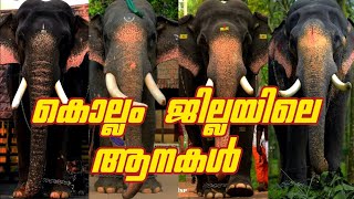 കൊല്ലം ജില്ലയിലെ ആനകൾ|elephants of kollam district|#aanapremi #aana #aana_kazhchakal #2023