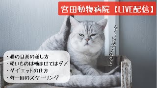 宮田動物病院 ライブ配信【MAHチャンネル】