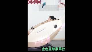 【OSLE】台灣現貨 按摩椅 電動按摩椅 保固一年 一體免安裝 液晶觸控 震動氣囊熱敷