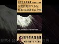 国学传承倪海厦：头发白的原因是肾气不足。简单2味药就可以头发变黑，谁都可以吃 @nishinihaixia 倪海厦 shorts