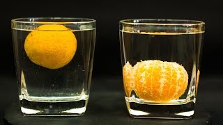 School Science Projects | Density Experiment With Oranges