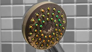 How to Easily Clean a FILTHY Shower Head