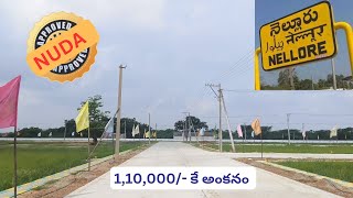 NELLORE to PODALAKUR ROAD || 8074002586 Prime Location Residential Plots Sale @NRpropertiesNellore