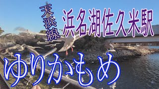 【天浜線とゆりかもめ】は今や風物詩となりました