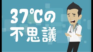 37℃の不思議