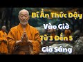 Thức Dậy Từ 3-5 Giờ Sáng: Góc Nhìn Phật Giáo và Y Học Đông Phương #thiền #suckhoe #phatphap #sứckhoẻ