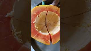 papaya benefits telugu|Fruit that improves digestion|Hair growth|Dr.manthena's Health Tips.