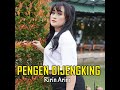 pengen dijengking