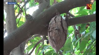 കടുത്ത വരൾച്ചയിൽ കാർഷിക വിളകൾ കരിഞ്ഞുണങ്ങുന്നു