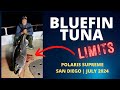 BOAT LIMITS of BLUEFIN TUNA with a surprise catch! | Polaris Supreme | San Diego, CA July 2024