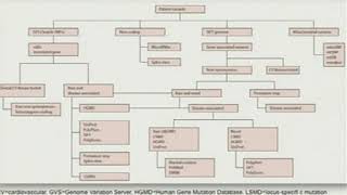 L03 3  新一代测序技术数据分析 第三讲 DNA seq I III 标清