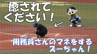 【癒されてください】可愛すぎる！ズーちゃんが用務員さんのまね？