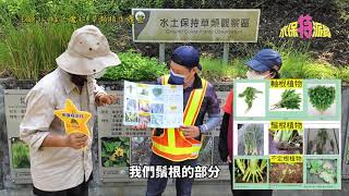 水保特派員系列 II 第3彈  牛埔水土保持大觀園 牛埔小探險家教案介紹