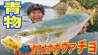 釣りよかガヴァチョで青物が・・！？【無人島釣り編】　#7