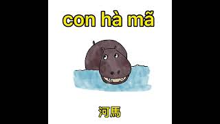 越南語動物系列-Bài về các động vật #tiengviet #越南語 #阮清華越南老師