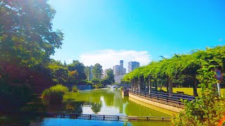 【4K】東京・武蔵国分寺公園を散歩 Walk around in Musashi Kokubunji Park in Tokyo【August 2020】