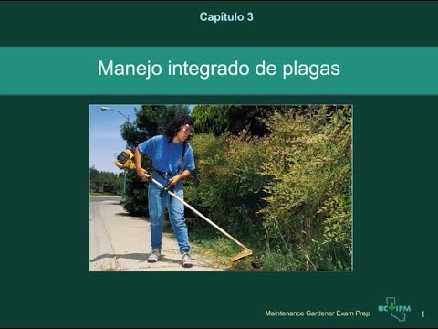 Capítulo 3 – Manejo Integrado De Plagas - YouTube