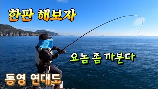 [통영로기] 256회 연대도에서 고기한테 혼줄 났네요. 내가 누군줄아나? 쉽지 않을끼다.