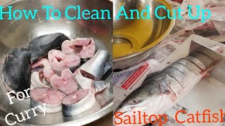 HOW TO CLEAN A CATFISH