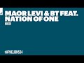 Maor Levi & BT feat. Nation of One - Here (Extended Mix)