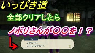 ついに達成！いっぴき道制覇で何が起こる！？　【ポケモンアルセウス、いっぴき道、やりこみ、アップデート】