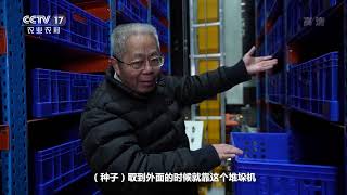 [中国三农报道]种业振兴 农安天下 国家农作物种质库：种子的“冻龄秘诀”|农业致富经 Agriculture And Farming