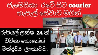 ලක්ෂ 24 ක් වටිනා කොකේන් මත්ද්රව්ය ලංකාවට |Cocaine worth Rs. 2.4 million  to Sri Lanka| Kstv Lanka