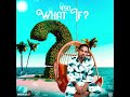 450 - What If❓️(official audio)