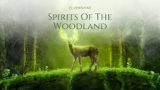 Enchanted Forest Music ༄ Relaxing Magical Forest Music 🌳 Spirits Of The Woodland