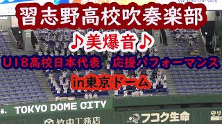 美爆音　習志野高校吹奏楽部　U18高校日本代表応援in東京ドーム