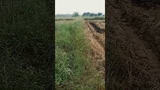 விவசாயியை  திருமணம் செய்வோம் நல்லா இருப்போம்🙏🙏🤲🤲🤣🤣🌾🌾#villagelife#live#like##my#love#pleasesubscribe#