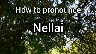 How to Pronounce Nellai