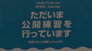 ◆えのすい　きずな 公開練習（アシカパート）（2017．03．26）15：20~ ◆