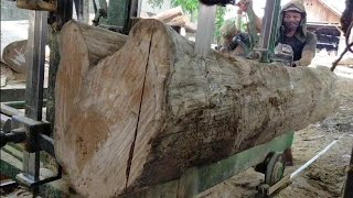Penggergajian Jati Serat Junjung Derajat(Junder)Kayu Jati Perhutani Blora Indonesian Teak sawing