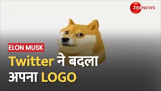 Twitter Logo: आधी रात को Elon Musk ने बदल दिया Twitter का LOGO, उड़ गई ट्विटर की चिड़िया