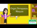 ORGAN PERNAPASAN PADA MANUSIA- YUNITA IRYANI