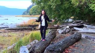 Wreck beach Trail from trail 7 UBC by TonyYu