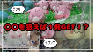 【ひたすらぶっ刺し】イワンコ＆ラッキーGET！！　#ポケットモンスター #ポケモン #pokemon #ぬいぐるみ #クレーンゲーム