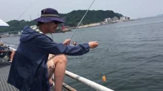 豊浜漁港でサビキ釣り② 釣り禁止場所で釣っていた人を注意するおじさん☆もう3人も死んでいるそうです☆