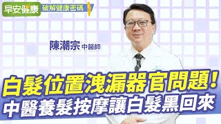 白髮位置洩漏器官問題！中醫養髮按摩讓白髮黑回來｜ 陳潮宗 中醫師 【早安健康】