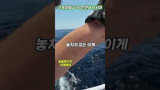 천류강포골드 100만원대 낚시대  최고급 추천