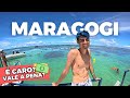 O QUE FAZER em MARAGOGI ALAGOAS? ROTEIRO com as MELHORES PRAIAS e PISCINAS NATURAIS COM PREÇOS