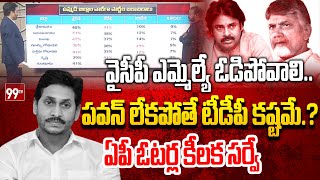 వైసీపీ ఎమ్మెల్యే ఓడిపోవాలి..జగన్ సీఎం అవ్వాలి..  ఏపీ ఓటర్ల కీలక సర్వే | AP Voters Survey 2023 | 99TV