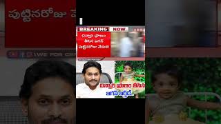 చిన్నారి ప్రాణం తీసిన జగన్ బర్త్ డే..#ysjagan #ysrcp #viralshort #cbn #tdp #appolitics #ytshorts #yt