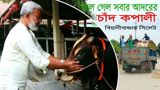 1192- সবার আদরের চাঁদ কপালী চলে গেল বিয়ানীবাজার সিলেট।  Qurbanir Hat 2025.Chitrapuri Krishichitra