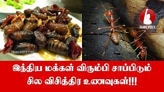 இந்திய மக்கள் விரும்பி சாப்பிடும் சில விசித்திர உணவுகள்!!! - Tamil Voice