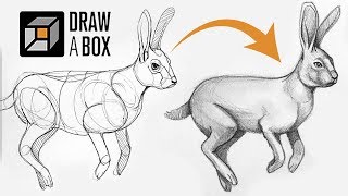 Learn to Draw for Free: DrawABox Review